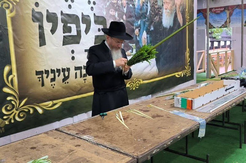 לוי נזארוב