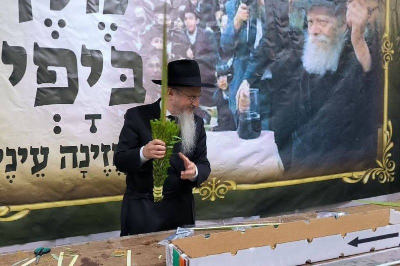 לוי נזארוב