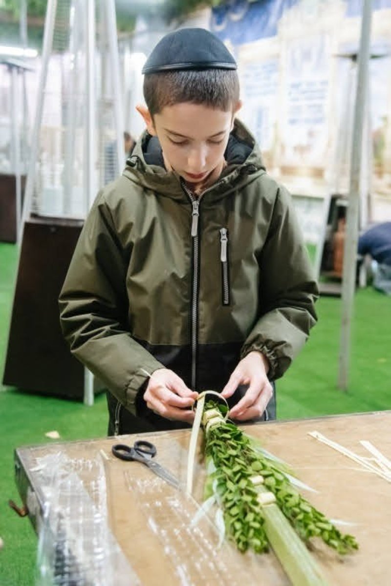 לוי נזארוב