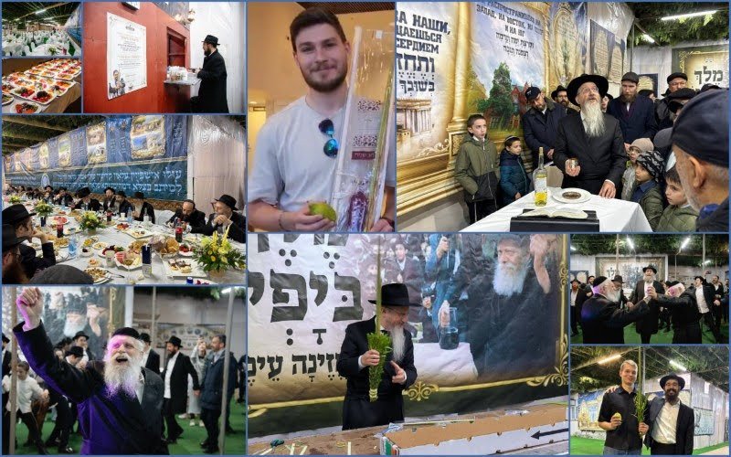 לוי נזארוב
