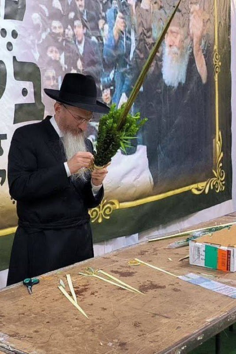 לוי נזארוב