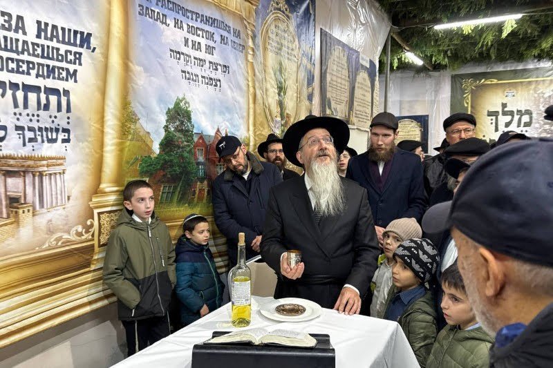 לוי נזארוב