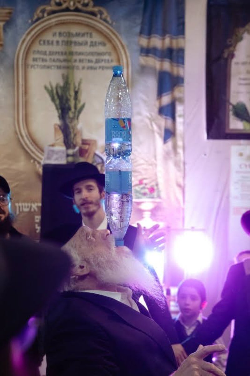 לוי נזארוב