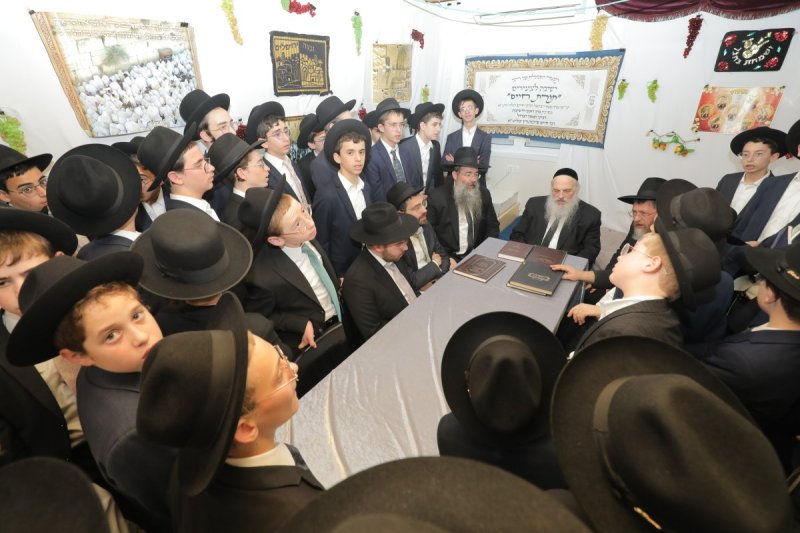 י. בוש