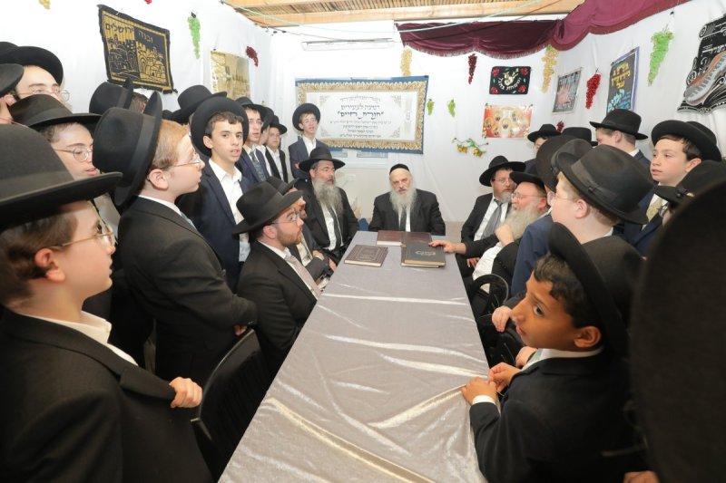 י. בוש