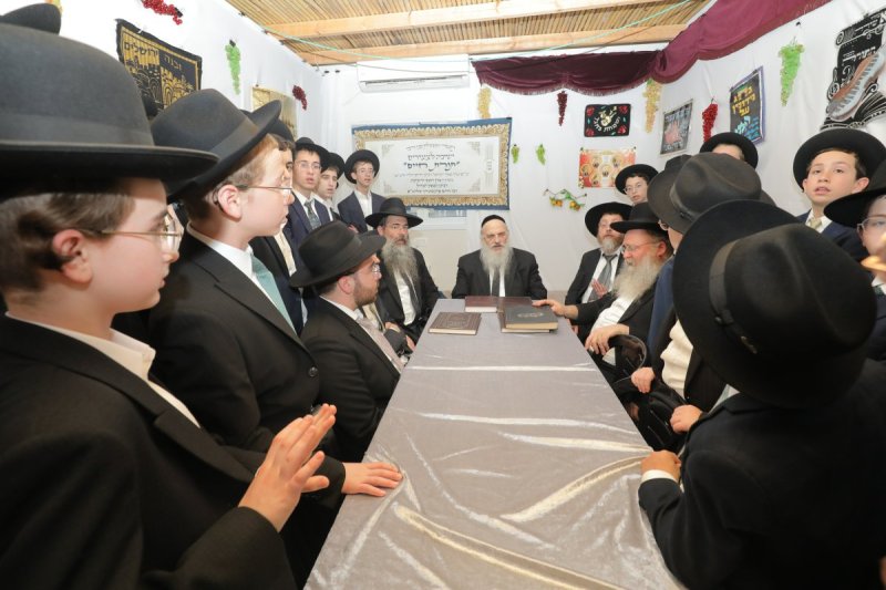 י. בוש