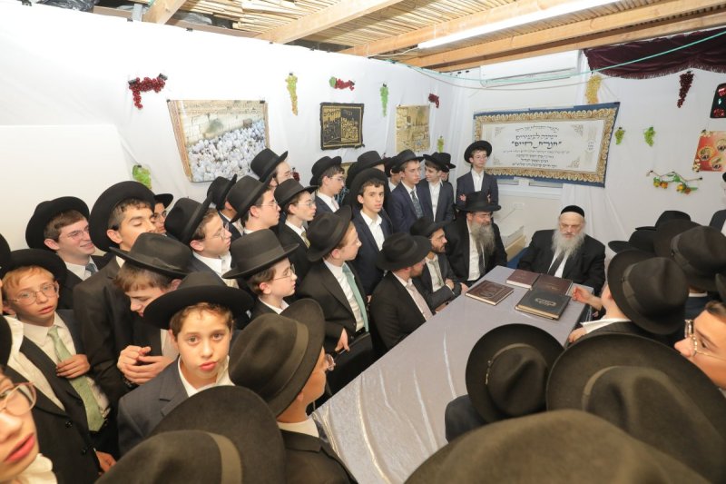 י. בוש