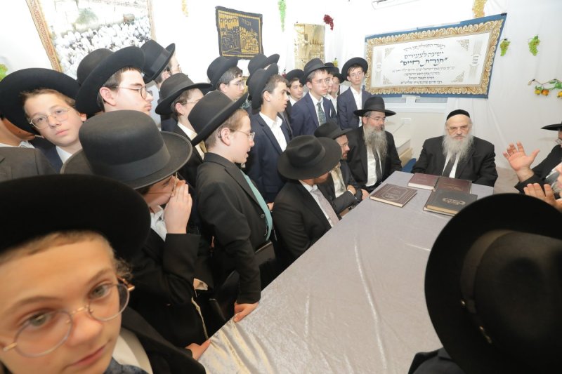 י. בוש