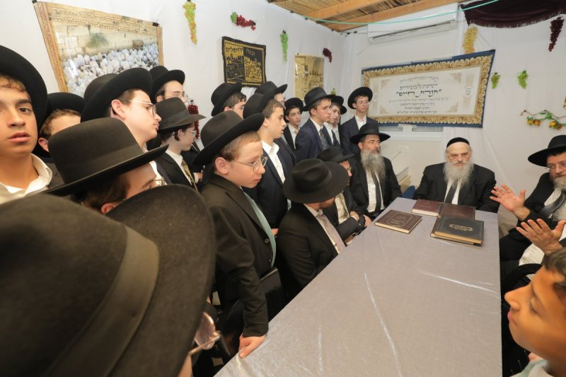 י. בוש