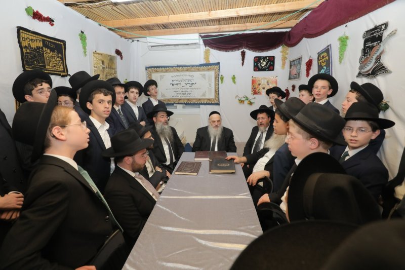 י. בוש