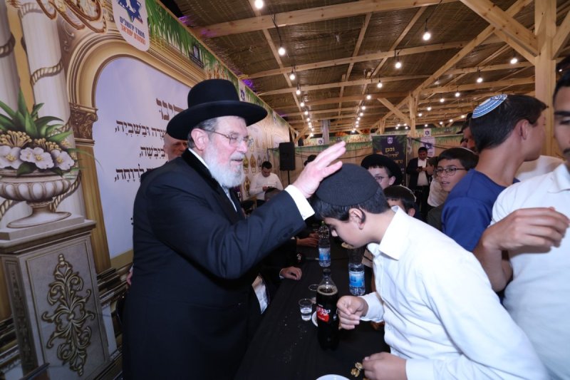זאב פרידמן