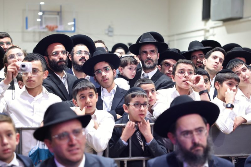 יעקב כהן