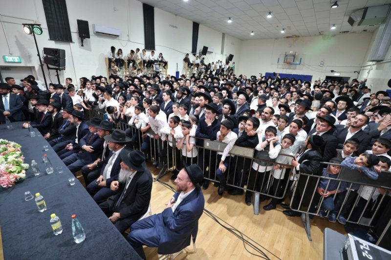 יעקב כהן