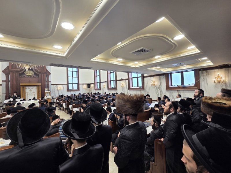 אבי פ.