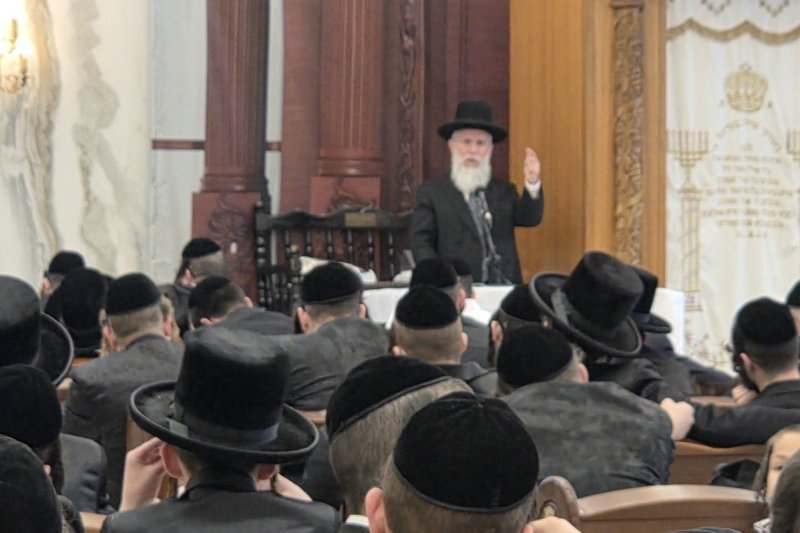 אבי פ.