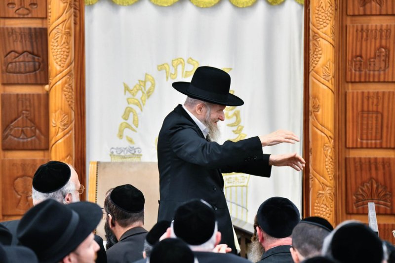 שוקי לרר