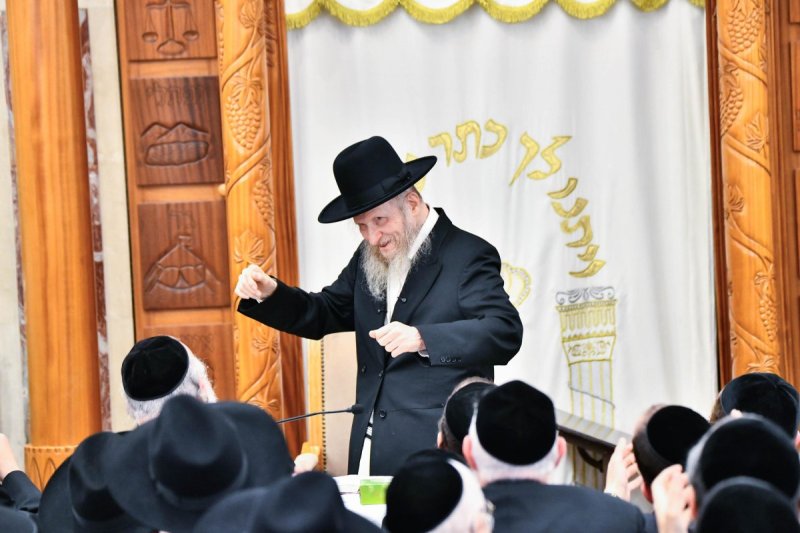 שוקי לרר