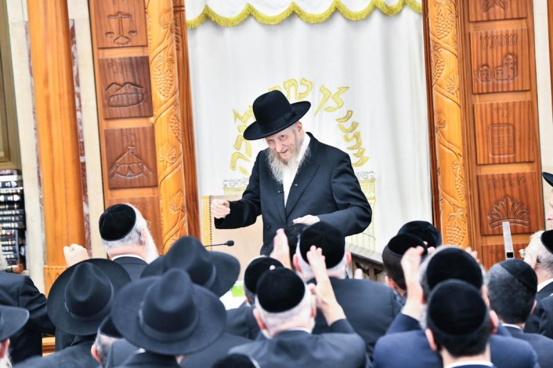 שוקי לרר