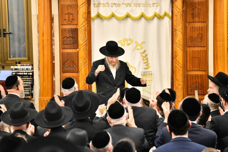 שוקי לרר