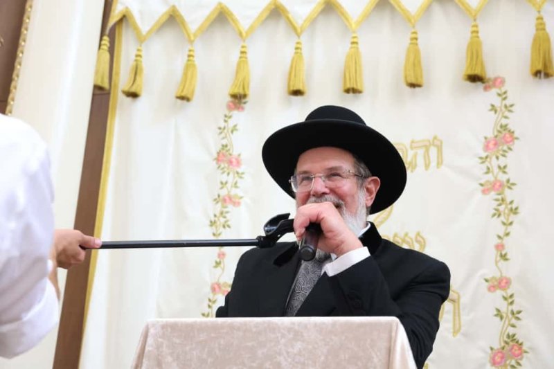 יעקב כהן