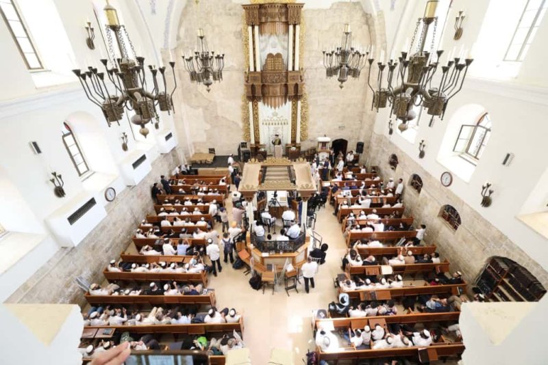 יעקב כהן