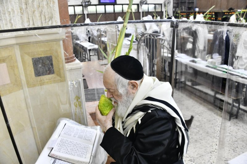 שוקי לרר