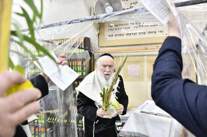 שוקי לרר
