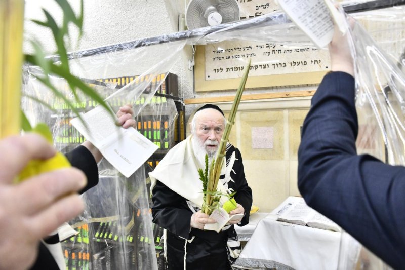 שוקי לרר