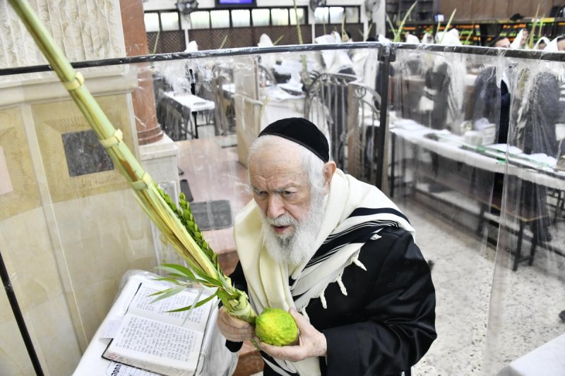 שוקי לרר