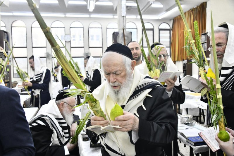 שוקי לרר