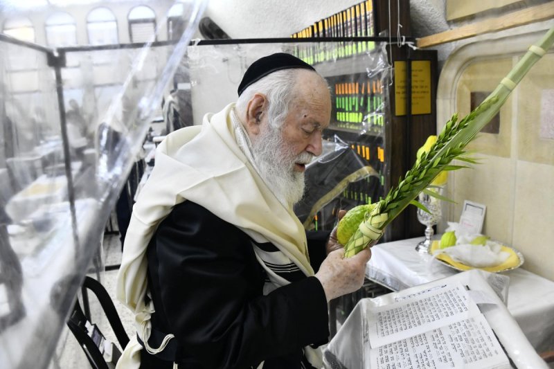 שוקי לרר