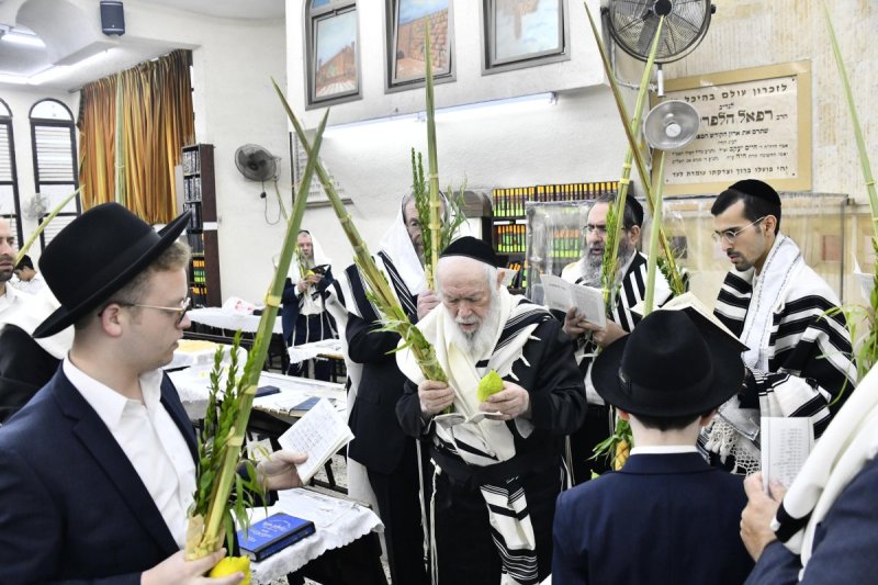 שוקי לרר