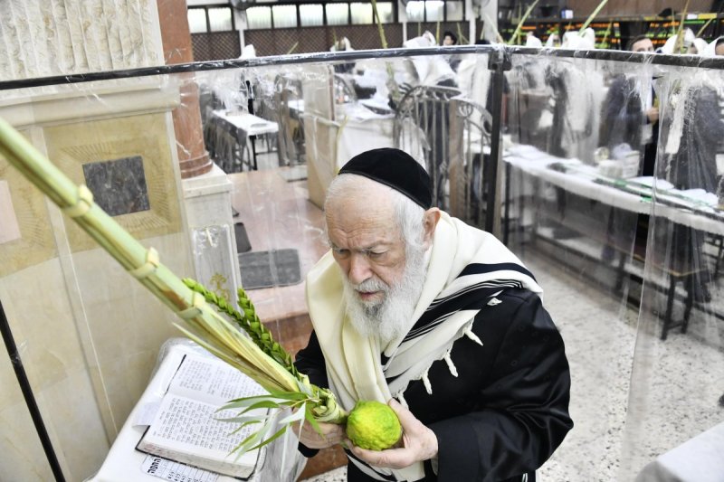 שוקי לרר