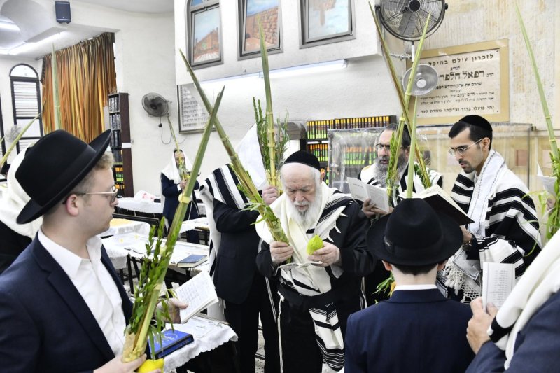 שוקי לרר