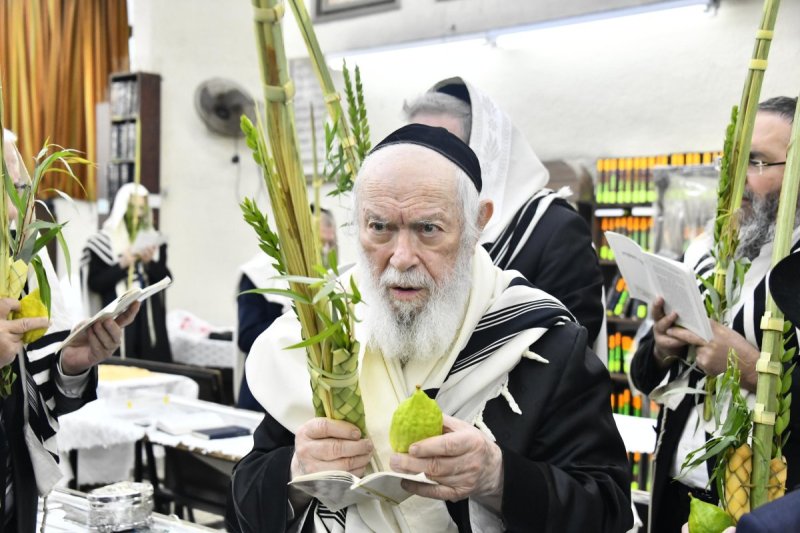 שוקי לרר