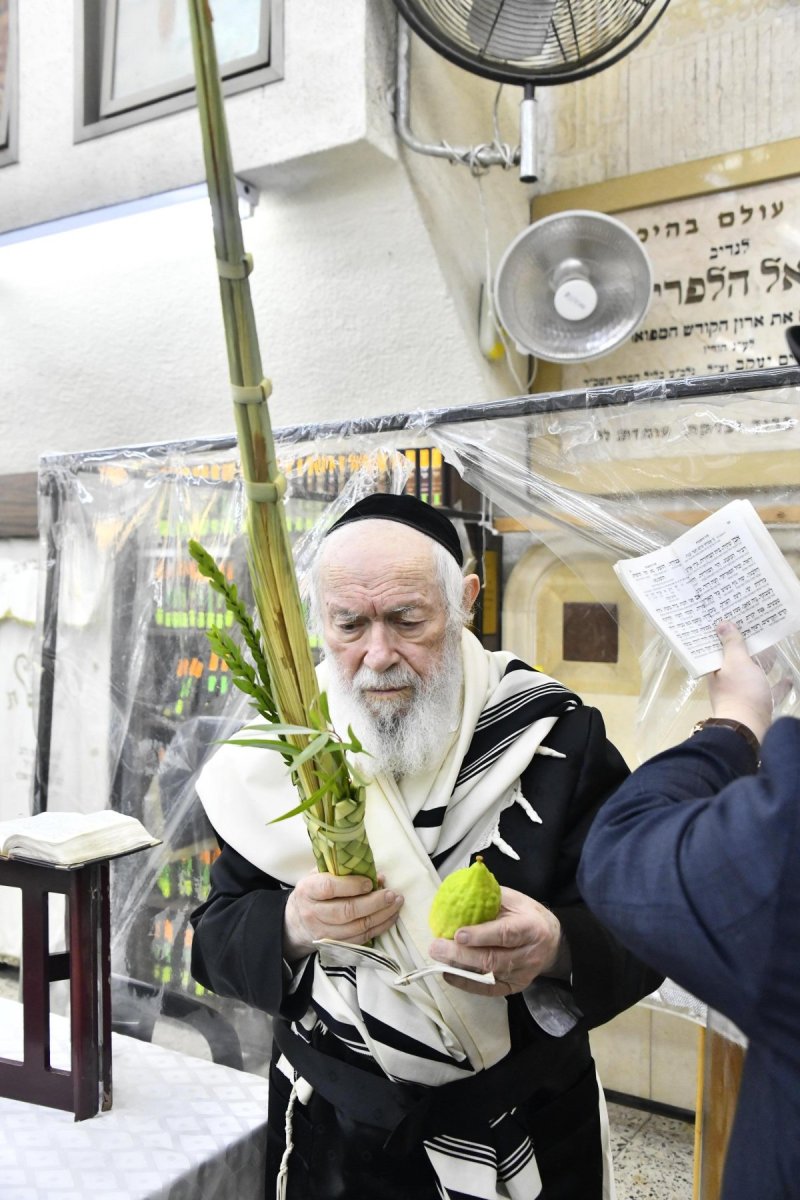 שוקי לרר