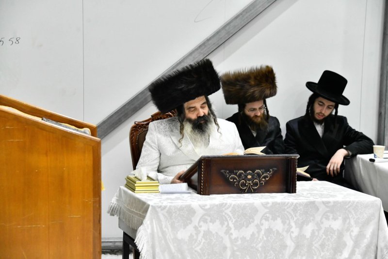 שוקי לרר