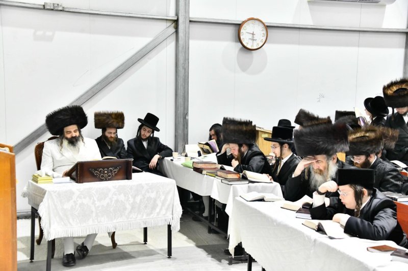 שוקי לרר