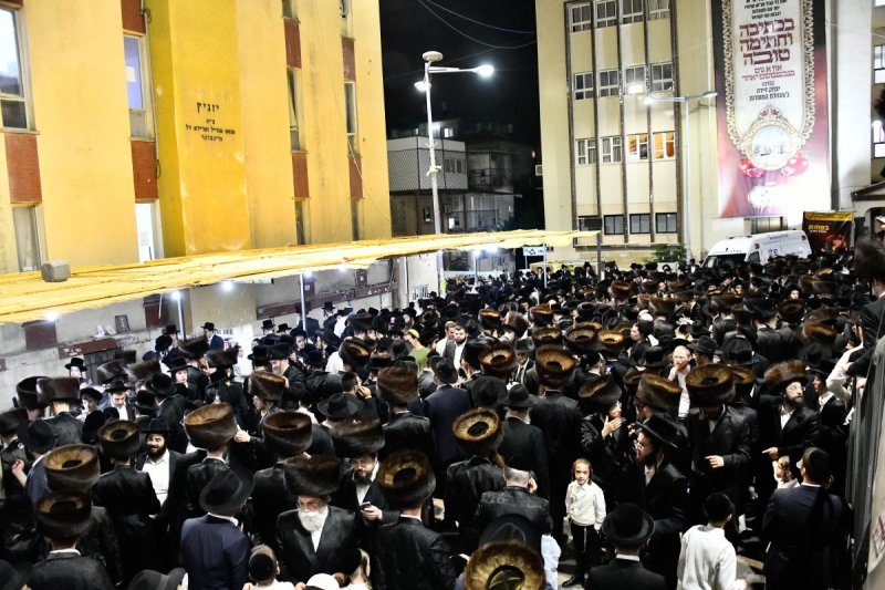 שוקי לרר