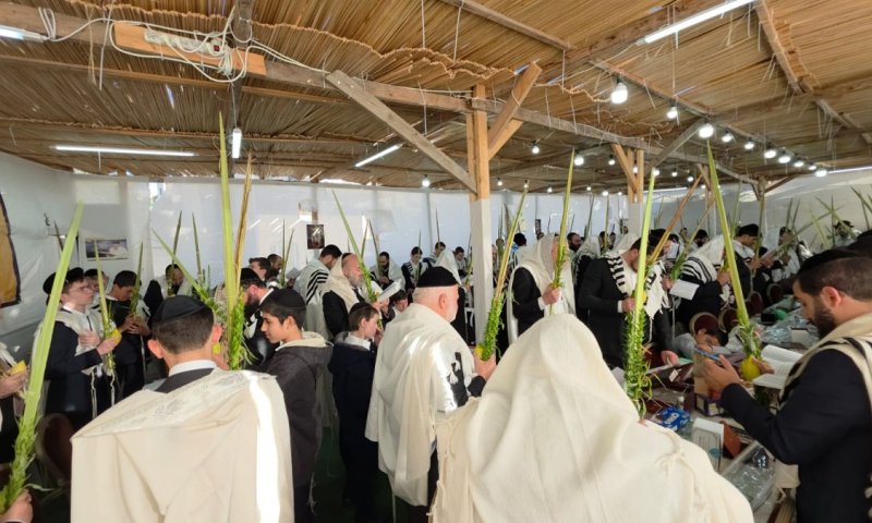 מול הכסא המיותם: הושענות בבית מדרשו של הראש"ל זצ"ל