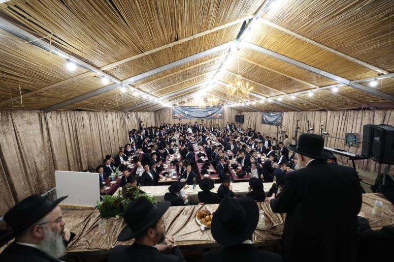 דוד ארזני