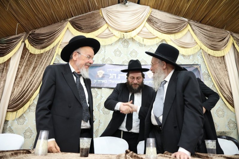 דוד ארזני