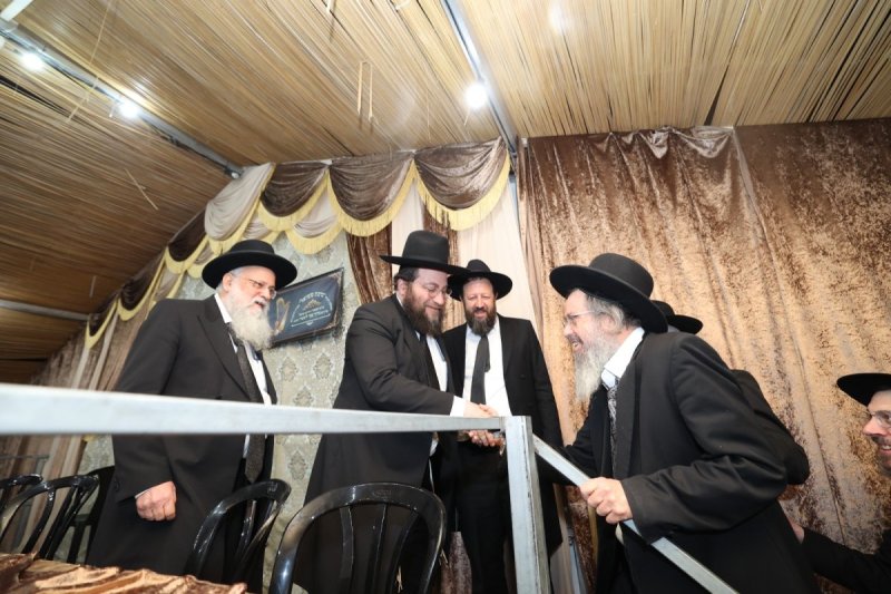 דוד ארזני