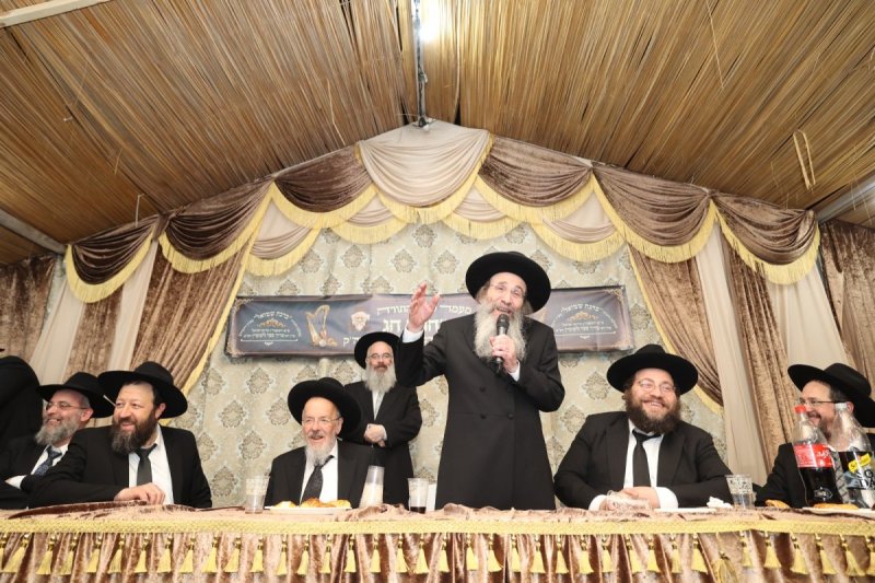 דוד ארזני