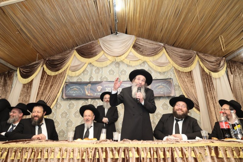 דוד ארזני