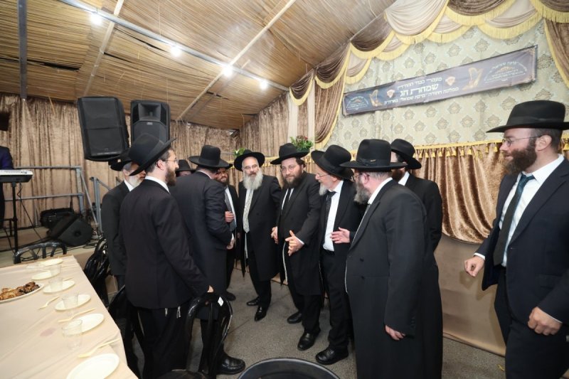 דוד ארזני
