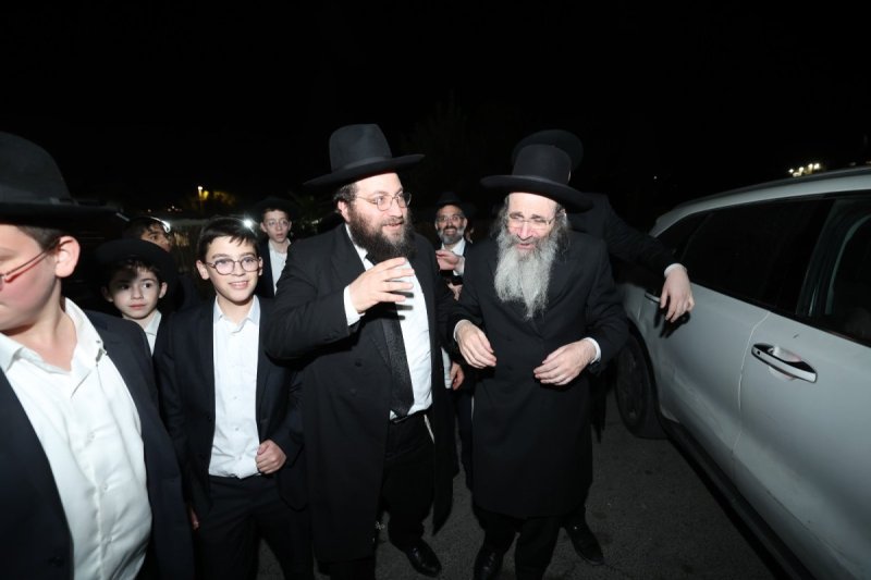 דוד ארזני