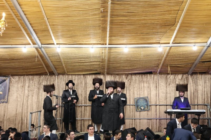 דוד ארזני