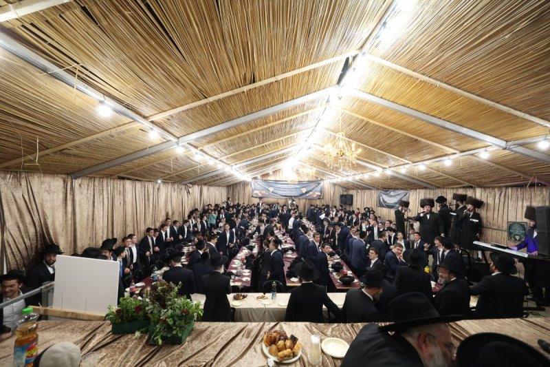 דוד ארזני