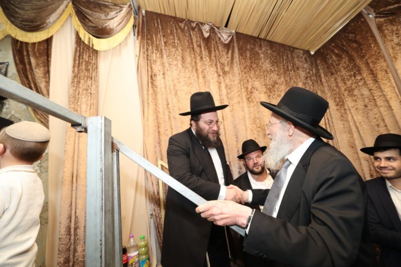 דוד ארזני